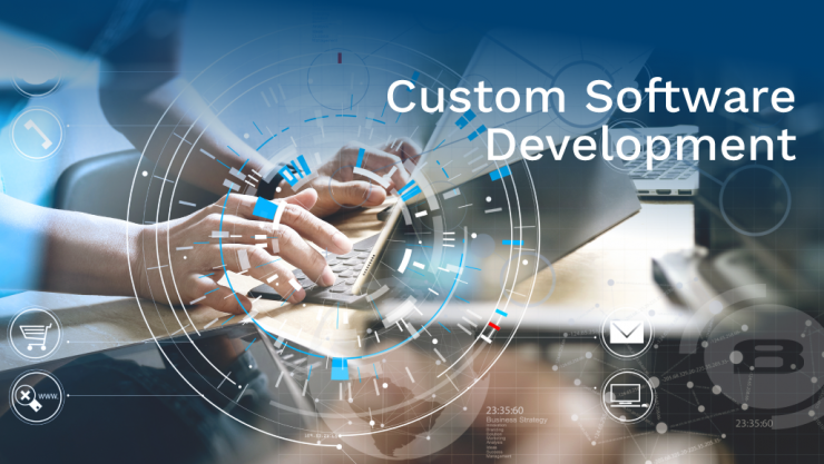 Custom Software Development Cost